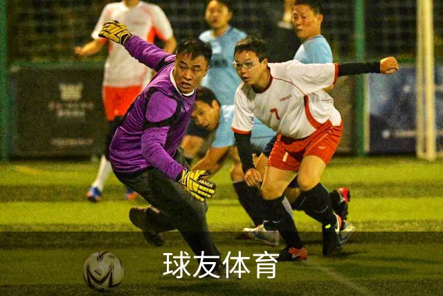 关于球友体育